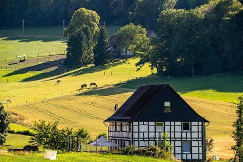 Landscape in Elfringhauser Schweiz, Hattingen, city limits to Sprockhövel, paddock, half-timbered