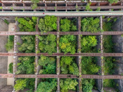 Duisburg-Nord Landscape Park, former Thyssen steelworks, closed in 1985, since then trees have been