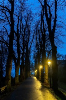 The Burgallee in Düsseldorf-Kaiserswerth, tree-lined avenue, at the old imperial palace, on the