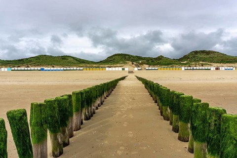 North Sea coast in Zeeland, called Zeeland Riviera, breakwater, made of wooden piles, near