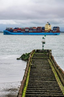 The Danish container ship Vistula Maersk is sailing towards the port of Antwerp, here in the