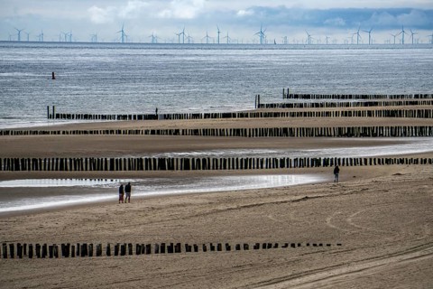 North Sea coast in Zeeland, called Zeeland Riviera, breakwater, made of wooden piles, near