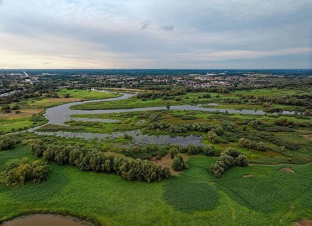 The Warta Estuary National Park, Park Narodowy Ujscie Warty, where the Warta flows into the Oder.