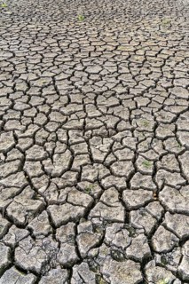 Dry ground, cracked, dried-up riverbed, in a branch of the Rhine, near Duisburg