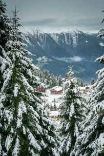 Snow-covered landscape with holiday homes in the Aletsch region, winter, fir trees, snow, Alps,