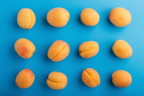 Rows of apricots on a blue pastel background, top view, flat lay