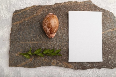 White paper business card, mockup with natural stone, seashell and boxwood branch on gray concrete