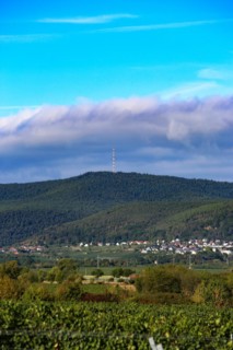 Panorama from the Haardtrand with a view of the Palatinate Forest