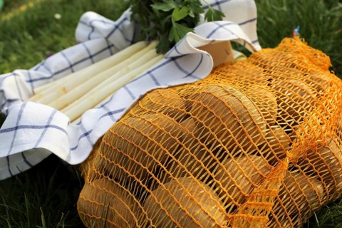 Asparagus and potatoes decorated in grass