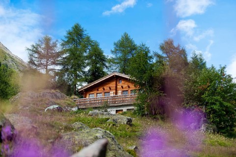 Chalet, holiday home, house, architecture, holiday, travel, tourism, building, holiday domicile,
