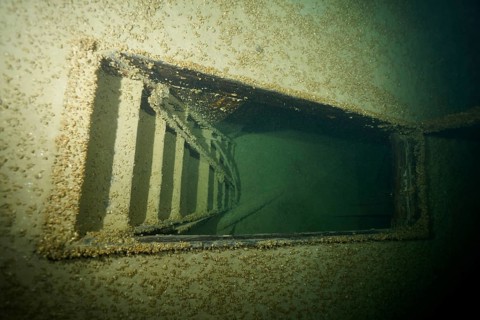Rusty ladder in a shipwreck, covered by mussels, quagga triangle mussel (Dreissena rostriformis