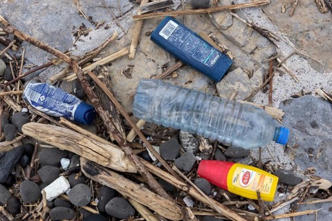 Symbolic image environmental pollution, plastic waste, rubbish, flotsam from a flood on the Neckar