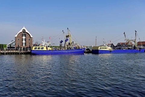 Fishing boat in the home harbour of the fishing fleet, Oudeschild, Texel, North Holland,