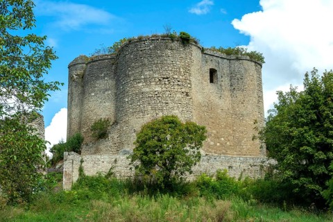 Medieval 13th century castle in Montaigu-le-Blin, showcasing impressive fortifications and