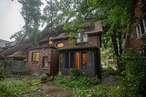 Detroit, Michigan, A storm with 70mph wind gusts blew down a 15-ton, 110-foot cottonwood, damaging