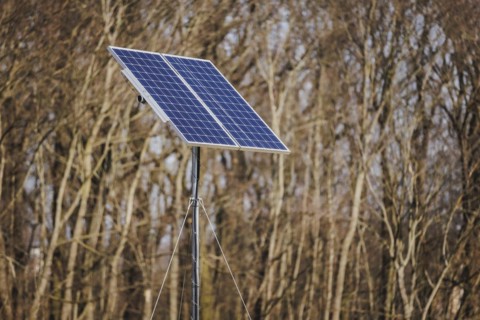 A solar panel looms in front of a forest in Berlin, 29/02/2024