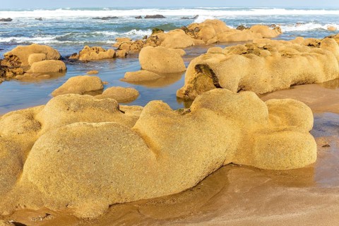 Sabellaria alveolata honeycomb worm reef, Mimid beach, Sidi Boufdail, Mirleft, Morocco, north