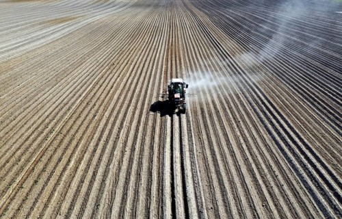 Tractor dragging a plume of dust behind it while working a potato field, Münchenberge, 20/05/2020