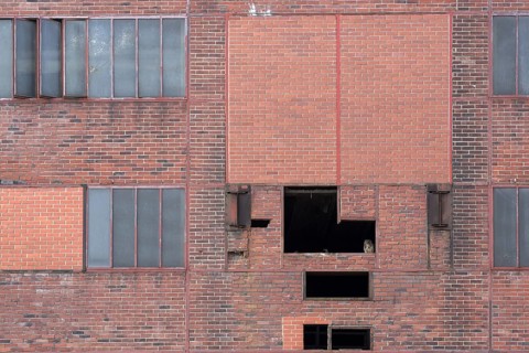 Eurasian eagle-owl (Bubo bubo), adult male, sitting in the window of an old industrial building,