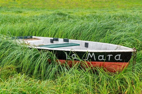The Edersee, near Waldeck, the third largest reservoir in Germany, is currently only 13% full, the