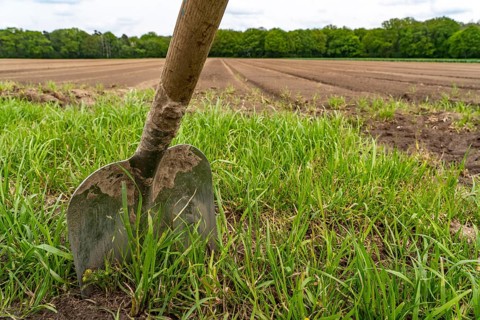 Scraping, shovelling at the edge of a freshly tilled field, North Rhine-Westphalia, Germany, Europe