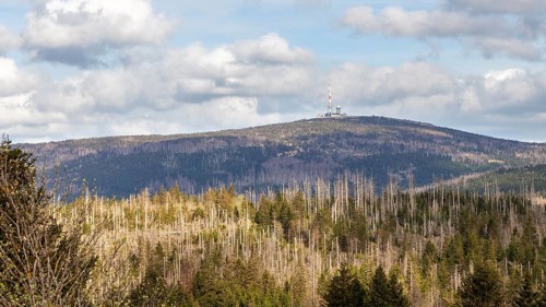 A mountain landscape with a television tower in the background under a blue sky, Harz Mountains,