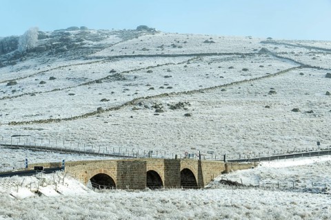 Aubrac plateau. Marchastel bridge on river Bès. Lozere department. Occitanie. France