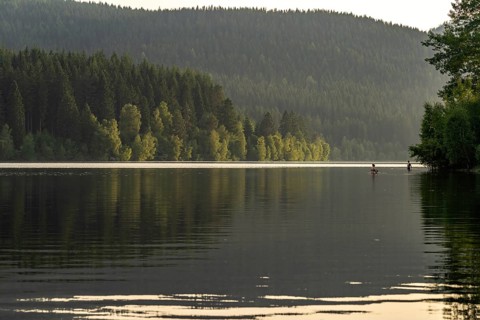 Schluchsee reservoir, Black Forest, Baden-Württemberg, Germany, Europe