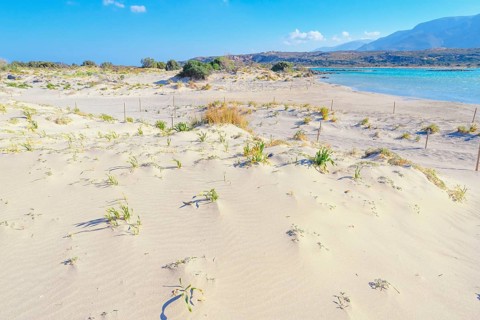 Elafonisi beach, Chania, Crete, Greek Islands, Greece, Europe