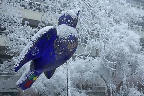 Blue Ulm sparrow with hoarfrost, ice and snow in winter, iced, sculpture, landmark, bird figure,