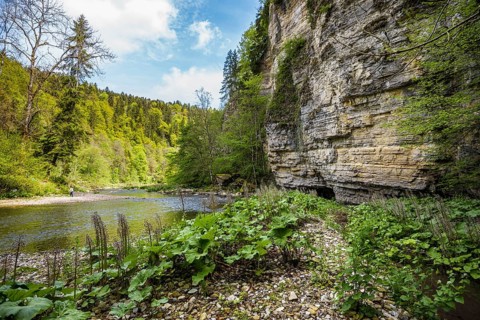Steep cliffs and river, Wutach Gorge, Bonndorf, Baden-Württemberg, Black Forest, Germany, Europe