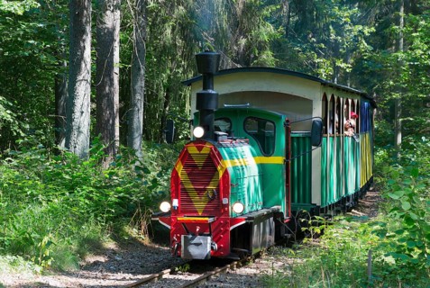 A colourful train runs through a sunny, green forest on a narrow track, diesel locomotive, Wls 40