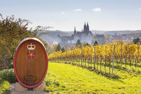 Viewpoint over the Proschwitz vineyards to Albrechtsburg Castle and Meissen Cathedral, Saxony,
