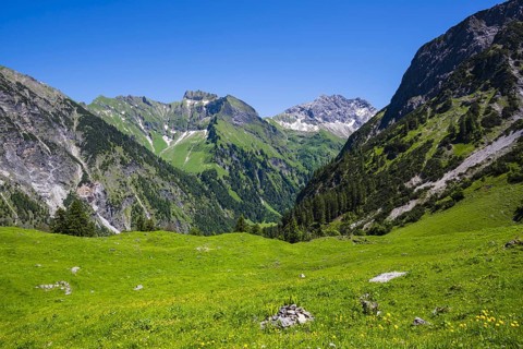 Schneck, 2268m and Großer Wilder, 2379m, Hochvogelgruppe and Rosszahngruppe, Allgäu Alps, Allgäu,