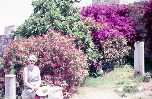 Woman sitting by flowering bougainvillea plants, Kos, Greece 1970s