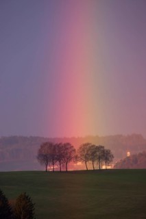 Rainbow touches a group of trees, Mühlviertel, Austria, Europe