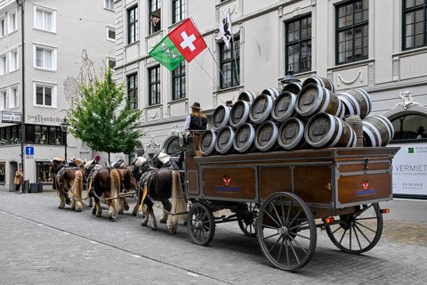 Feldschlösschen brewery horses, St. Gallen, Switzerland, Europe