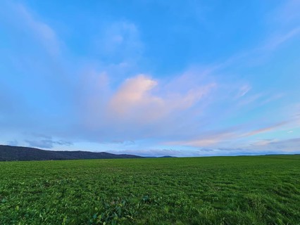 Wide green field under a blue sky with clouds during sunset, Mönchberg, Mltenberg, Spessart,