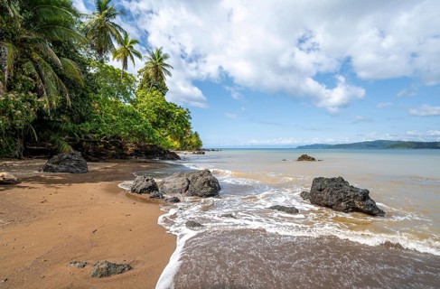 Tropical beach, South Pacific, Osa Peninsula, Punterenas Province, Costa Rica, Central America