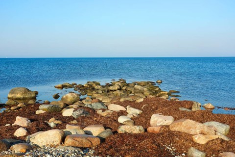 Stony beach on the island of Fehmarn on a calm, sunny day, Baltic Sea coast near Wallnau, East