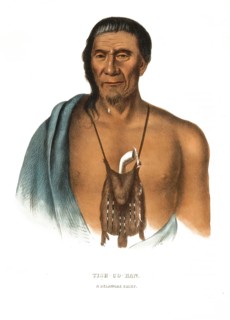 American Indian, Native American, Tish-Co-Han, Chief of the Delaware Tribe, United States of