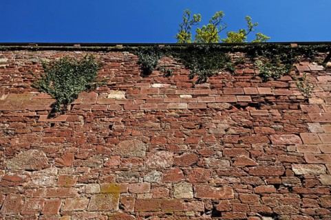 Heidelberg castle ruins, destroyed in 1689, fortress wall, castle courtyard, Heidelberg,