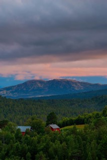View of Dovrefjell, mountain, landscape photo, portrait format, fir forest, red wooden house,