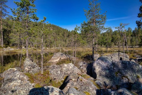 Small spur of Lake Inari, Lapland, Finland, Europe