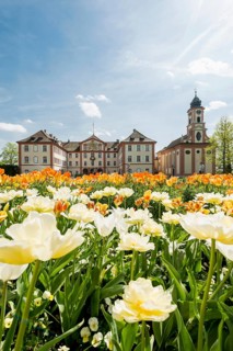 Mainau Castle and St Mary's Castle Church, Mainau Island, Lake Constance, Baden-Württemberg,