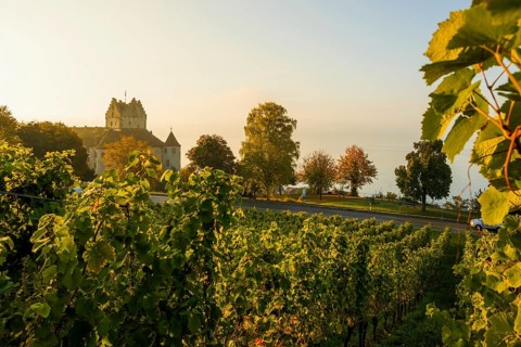 Meersburg Castle, Old Castle, Sunrise, Meersburg, Lake Constance, Baden-Württemberg, Germany,