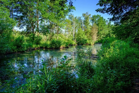 Moor adventure trail, nature conservation centre, Pfrunger-Burgweiler Ried nature reserve,