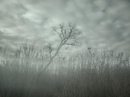 Landscape in Voloska Balakliia. The village is close to the front line, artillery fire can be heard