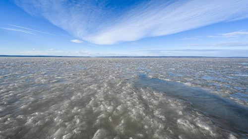 Frozen lake, ice and structures, Podersdorf am See, Lake Neusiedl, Burgenland, Austria, Europe