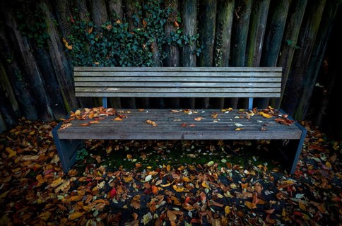 Park bench, bench, abandoned, autumn leaves, autumn colours, autumn, Kappelberg, Fellbach,